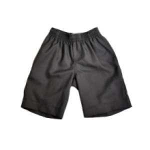Academic School Shorts